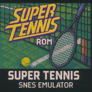 Super Tennis Rom